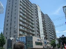 �T�����F�[��YOKOHAMA�ɐ����ؒ�