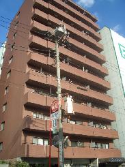 �v�����h�[�����l�@�T�O�R����